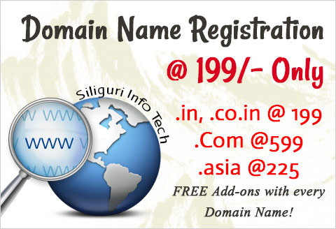 Domain name registration in siliguri