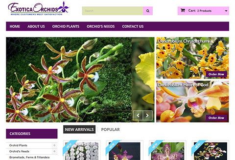 ecommerce website for exotica orchids