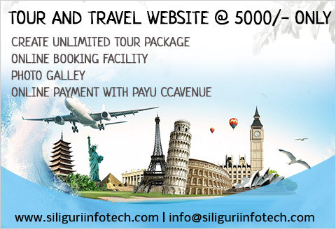 tour and travels website designing in siliguri